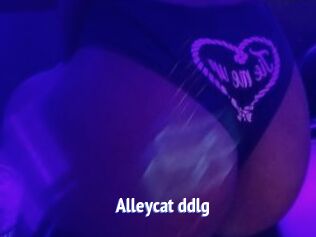 Alleycat_ddlg