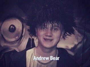 Andrew_Bear