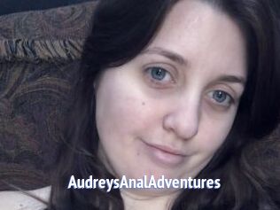 AudreysAnalAdventures