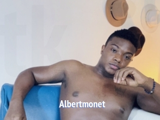 Albertmonet