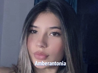 Amberantonia