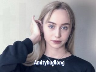 Amitybudlong