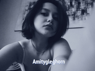 Amitygleghorn