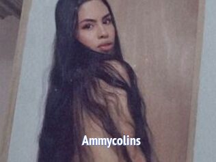 Ammycolins