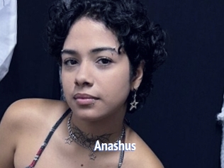 Anashus