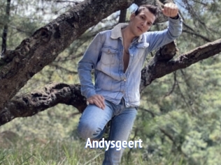 Andysgeert