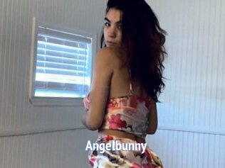 Angelbunny