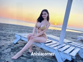 Anisiacorner