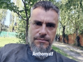 Anthonyalf