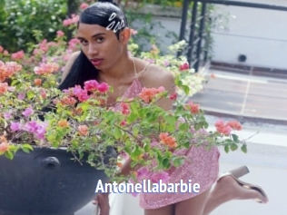 Antonellabarbie