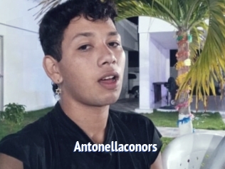 Antonellaconors