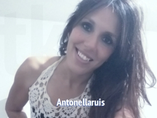 Antonellaruis