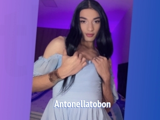 Antonellatobon