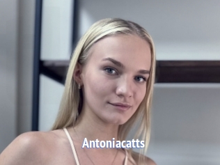 Antoniacatts