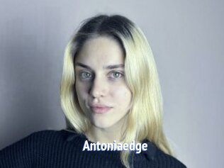 Antoniaedge