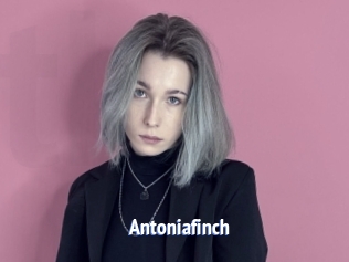 Antoniafinch