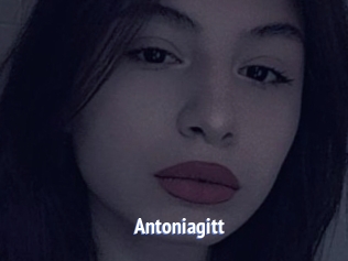 Antoniagitt