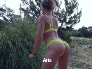 Aria