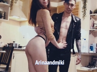 Arinaandmiki