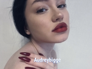 Audreybigge