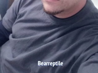 Bearreptile