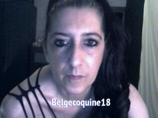 Belgecoquine18