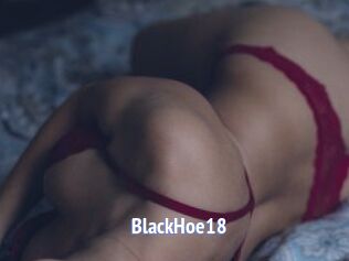 BlackHoe18