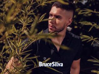 BruceSilva