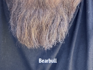 Bearbull