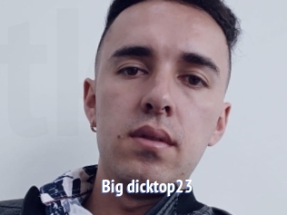 Big_dicktop23