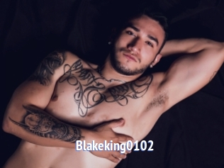 Blakeking0102