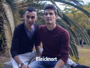 Bleicknort