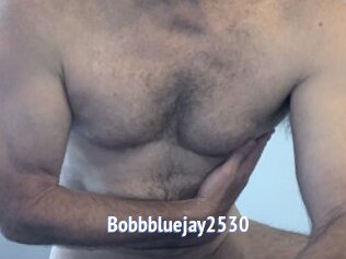 Bobbbluejay2530