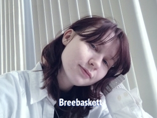 Breebaskett