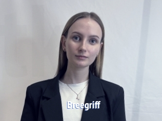 Breegriff