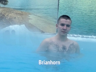 Brianhorn