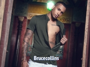 Brucecollins