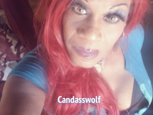 Candasswolf