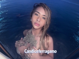 Candiceferragamo