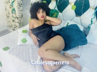 Cataleyaguerrero