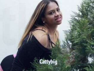 Cattybig