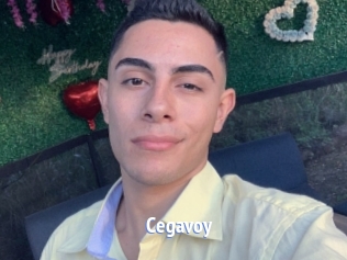 Cegavoy