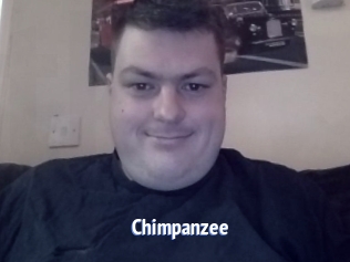 Chimpanzee