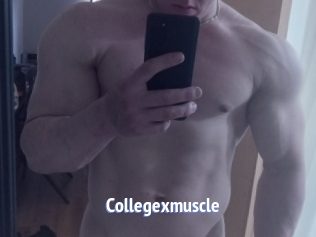 Collegexmuscle