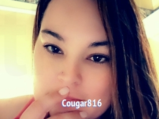 Cougar816