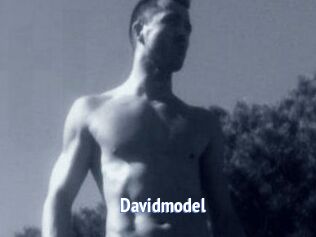 Davidmodel