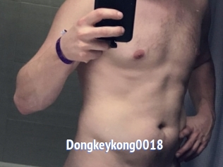 Dongkeykong0018