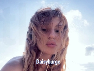 Daisyburge