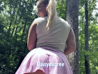 Daisydupree