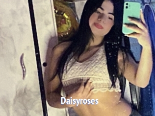 Daisyroses